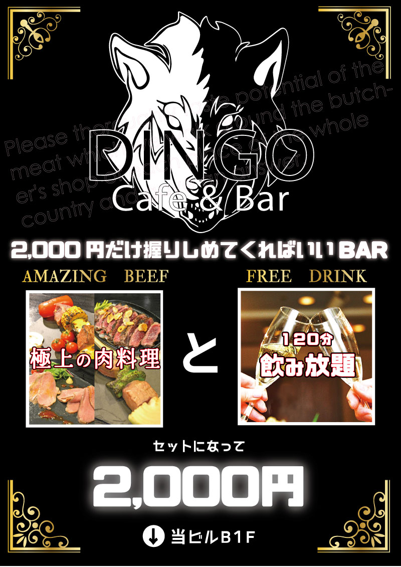 DINGO Cafe&Bar